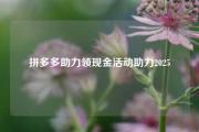 拼多多助力领现金活动助力2025