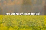 拼多多助力|24小时在线助力平台