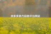 拼多多助力自助平台网站