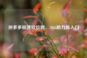 拼多多极速砍价网，2025助力新入口