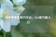 拼多多多多助力平台，2025助力新入口