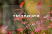 拼多多助力平台24小时