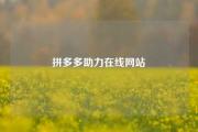 拼多多助力在线网站