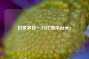 拼多多砍一刀代理平台2026