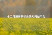 十二月拼多多砍价助力网站平台