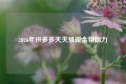 2026年拼多多天天领现金帮助力