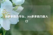 拼多多助力平台，2026多多助力新入口