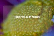 拼助力多多助力神器