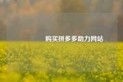 🔗购买拼多多助力网站