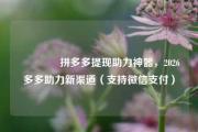 🎉拼多多提现助力神器，2026多多助力新渠道（支持微信支付）