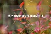 春节寒假拼多多助力网站平台