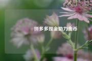🪙拼多多现金助力金币