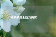 拼多多现金助力购买🪙