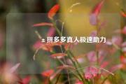 📱拼多多真人极速助力