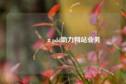📱pdd助力网站业务