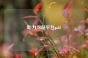 助力网站平台pdd