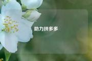 助力拼多多