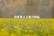 拼多多人工助力网站