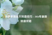 拼多多现金大转盘技巧 - 2026年最新转盘攻略