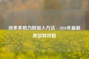 拼多多助力群加入方法 - 2026年最新微信群攻略