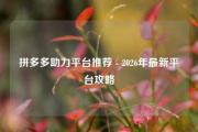 拼多多助力平台推荐 - 2026年最新平台攻略