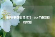 拼多多拼团省钱技巧 - 2026年最新省钱攻略