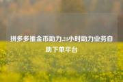 拼多多推金币助力,24小时助力业务自助下单平台