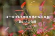 辽宁省拼多多拼多多助力购买,多多助力入口在哪