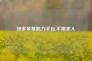 拼多多帮助力平台,不用求人