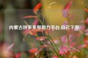 内蒙古拼多多帮助力平台,自己下单