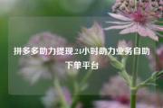 拼多多助力提现,24小时助力业务自助下单平台