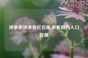 拼多多拼多多红包雨,多多助力入口在哪