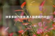 拼多多助力提现,真人极速助力砍价
