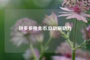 拼多多推金币,自助刷助力