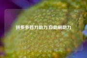 拼多多首刀助力,自助刷助力