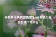 拼多多拼多多提现技巧,24小时助力业务自助下单平台