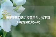 拼多多砍刀助力接单平台，找不到人助力可以试一试