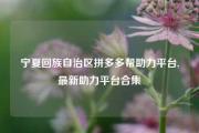 宁夏回族自治区拼多多帮助力平台,最新助力平台合集