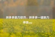 拼多多助力软件，拼多多一键助力神器app