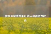 拼多多帮助力平台,真人极速助力砍价