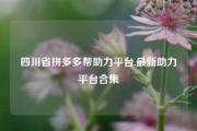 四川省拼多多帮助力平台,最新助力平台合集