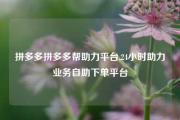 拼多多拼多多帮助力平台,24小时助力业务自助下单平台