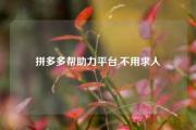 拼多多帮助力平台,不用求人