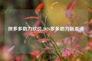 拼多多助力砍价,2026多多助力新渠道