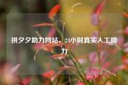 拼夕夕助力网站，24小时真实人工助力