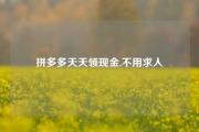 拼多多天天领现金,不用求人