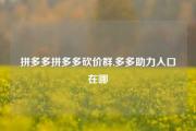拼多多拼多多砍价群,多多助力入口在哪