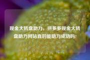 现金大转盘助力，拼多多现金大转盘助力网站真的能助力成功吗?