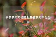 拼多多天天领现金,最新助力平台合集