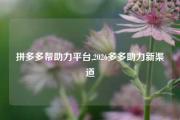 拼多多帮助力平台,2026多多助力新渠道